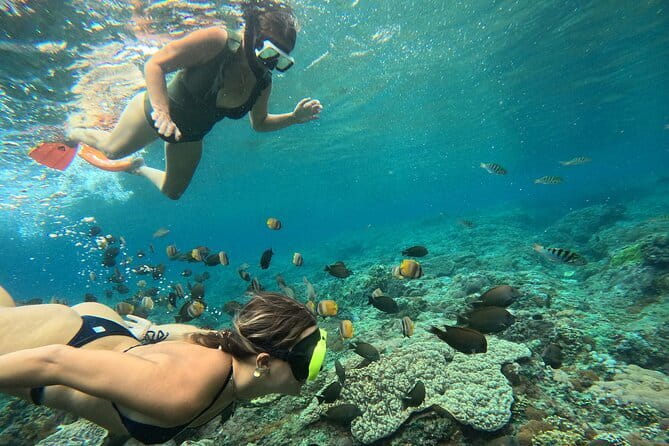 Nusa Penida : Snorkeling Trip Manta Point, Gamat Bay and Wall Bay - What the morning schedule really means
