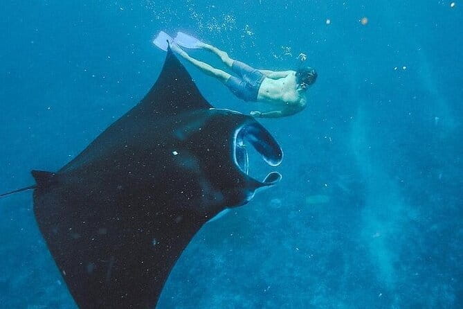Nusa Penida Tour with Iconic Photography in Kelingking - Is $99 a fair price?
