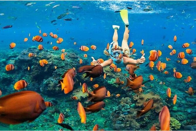 Nusa Penida Trip with Snorkeling all-Inclusive - Key points to know before booking