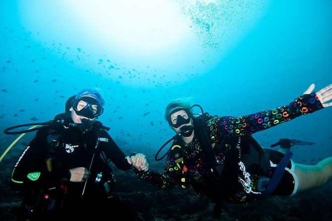 Nusa Penida Try Scuba Diving Program - for Non-Certified Divers - Key points to know before you book