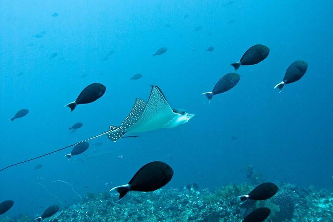 Nusa Penida Try Scuba Diving Program - for Non-Certified Divers - The 30 to 40 minute briefing