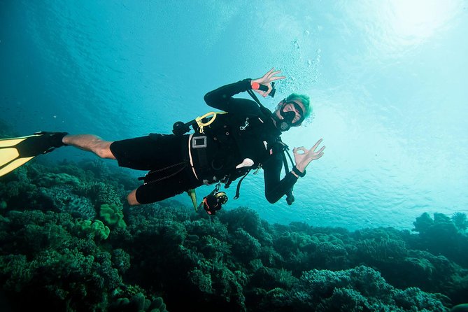 Nusa Penida Two Dives Trip for Certified Divers - Manta Point, where the big encounter may happen