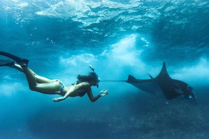 Nusa Penida West trip with snorkeling at 3 spot with Free Meals - A private vehicle makes the island portion easier