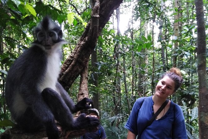 ONE DAY JUNGLE TREKKING 6-7 hours (see orang utan) + RAFTING in BUKIT LAWANG - Traditional rafting and optional tubing after the hike