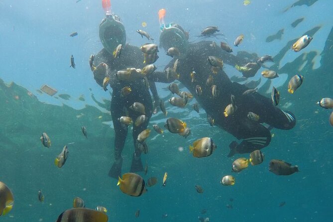 One Day Snorkeling Trip & West Tour Nusa Penida by Penidago - Lunch arrives before the west-coast drive