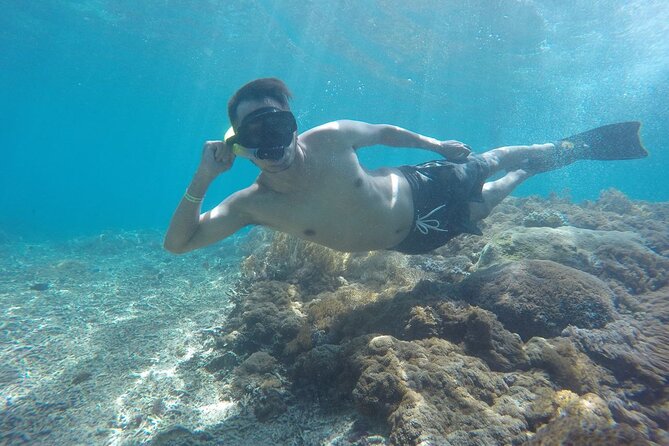 One Day Snorkeling Trip & West Tour Nusa Penida by Penidago - What the guides add to the day