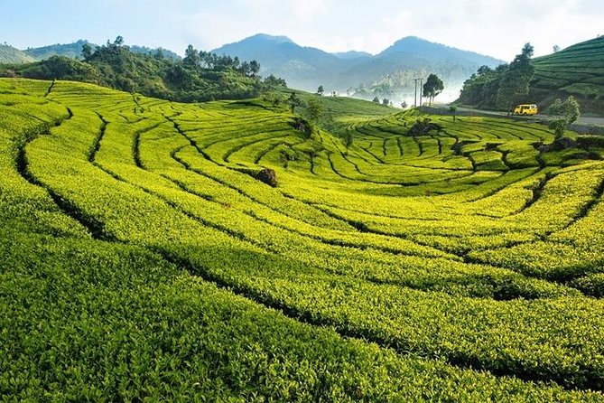 One Day Trip : Bogor Highland Waterfall Tour With Lunch - Why this Bogor day trip works from Jakarta