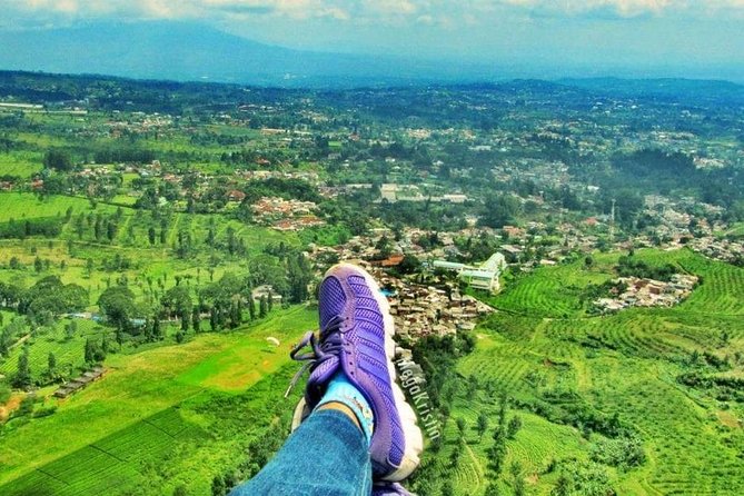 One Day Trip : Bogor Highland Waterfall Tour With Lunch - Gunung Mas tea fields set the tone