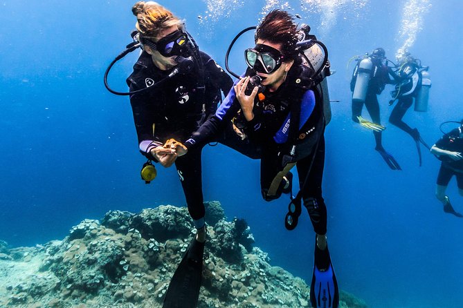 Open Water Course in Nusa Lembongan - Get Certified on remote island (next Bali) - Toyapakeh and the chance to see more marine life