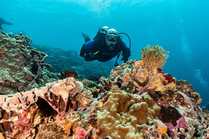 Open Water Course in Pemuteran - Get Certified in Bali - What to bring and what costs extra