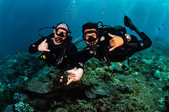 Open Water Course in Tulamben - Get Certified in Bali - Who will get the most from this course