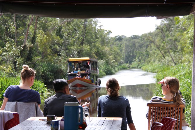 Orangutan Safari Kelotok Houseboat 3 Days 2 Nights Private - Camp Leakey and the orangutan search