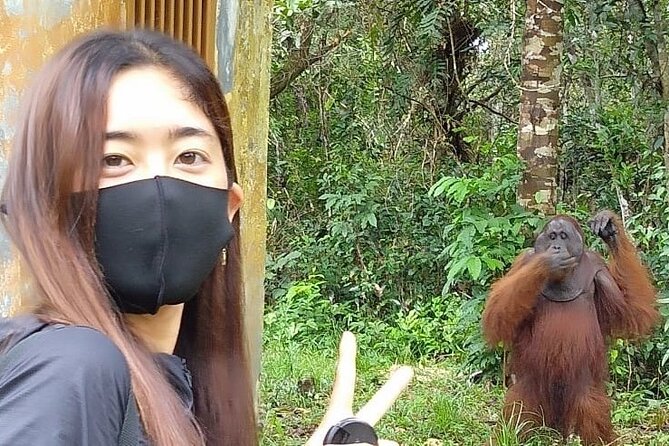 Orangutan Tour Tanjung Puting 2Nights - Key points to know before booking