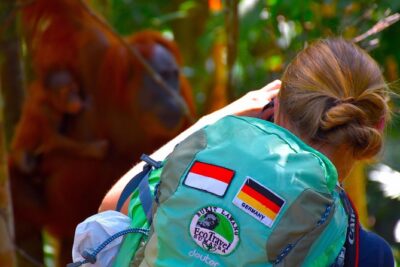 ORANGUTAN TREK (2D/1N) by EcoTravel Bukit Lawang