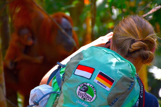 ORANGUTAN TREK (2D/1N) by EcoTravel Bukit Lawang - Reaching the riverside camp around 3:00 pm