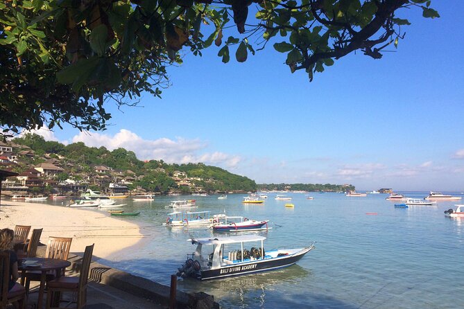 PADI Open water Course in Lembongan - Get certified & dive anywhere in the world - What you are really buying for $425