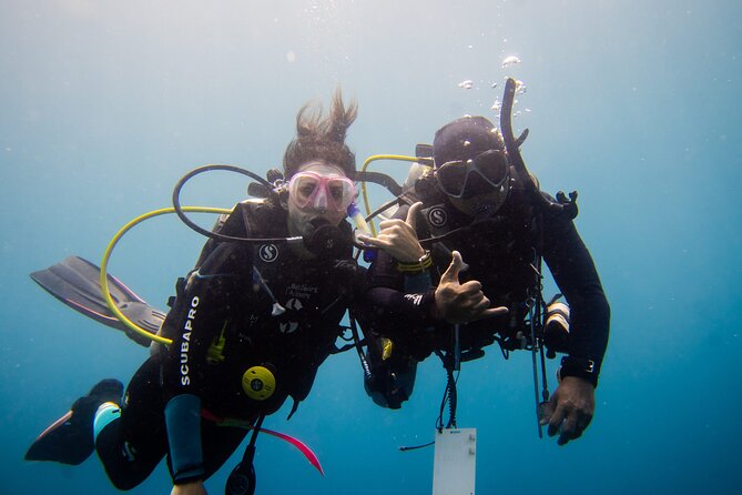 PADI Open water Course in Lembongan - Get certified & dive anywhere in the world - Days two and three: four ocean sessions