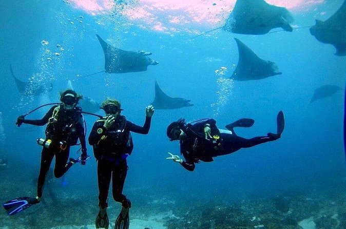 PADI Open water Course in Lembongan - Get certified & dive anywhere in the world - Who should take this course