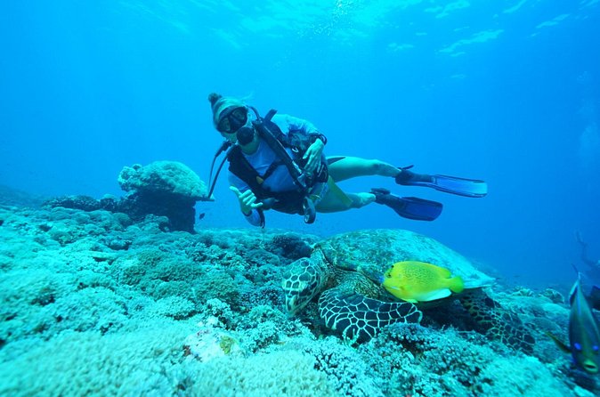 PADI Open water Course in Lembongan - Get certified & dive anywhere in the world - Practical planning for three demanding days