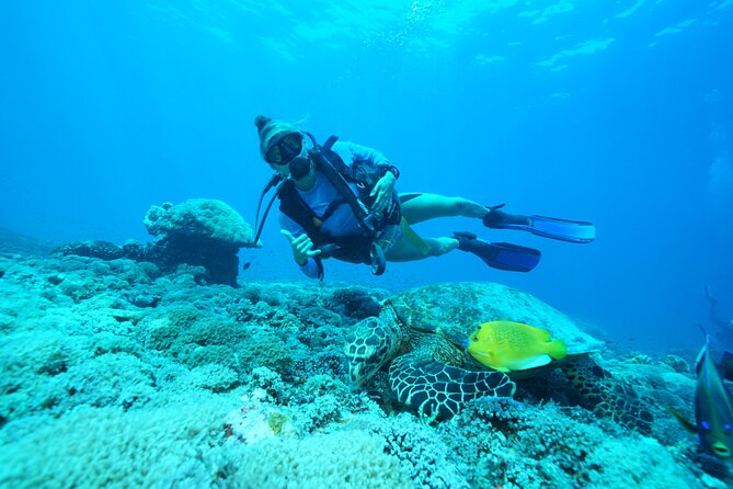 PADI Open water Course in Lembongan - Get certified & dive anywhere in the world - Day one: theory, equipment, and the pool
