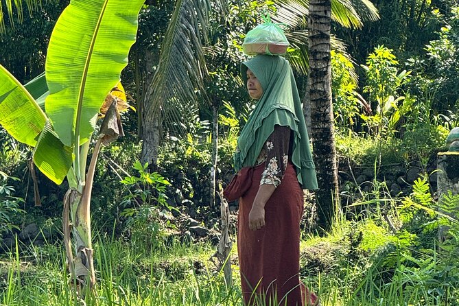 Panorama Walking Tour and Culture, West Lombok - Tibu Tereng Waterfall, the cool pause in the trees