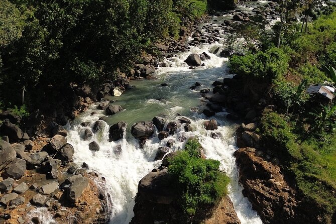 Panorama Walking Tour and Culture, West Lombok - Gula aren and the taste of palm sugar