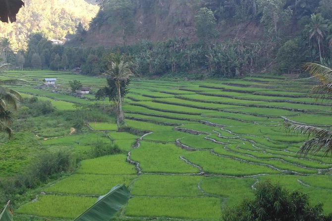 Pauls Flores Tour Labuan Bajo to Ende Flores Land Tour inland by Car 6 Days - Day 3: Bena and a natural hot river
