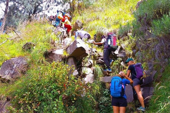 Popular Rinjani Trekking Tour Service To Summit For 2 Days Via Sembalun Trail - Guides, porters, and the human side of the climb