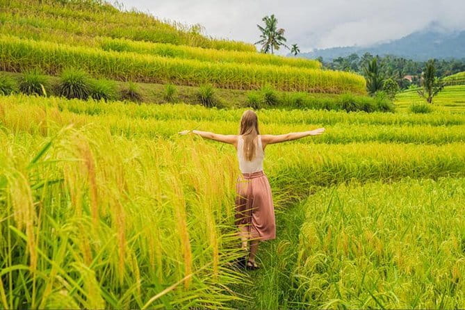 Private Airport Transfers by top trusted Drivers in Bali - Why the Private Group Price Matters