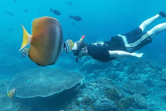 Private All Inclusive Nusa Penida Snorkeling and Tour - Why this Nusa Penida day trip works