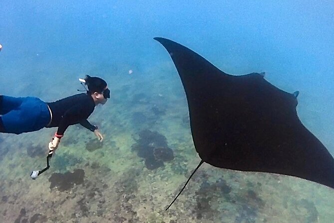 Private All Inclusive Nusa Penida Snorkeling and Tour - Three hours around Manta Point