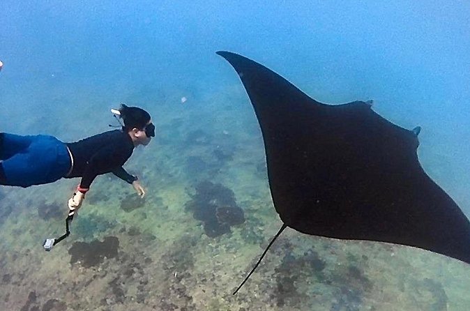 Private All Inclusive Nusa Penida Snorkeling and Tour - Kelingking Beach and the T-Rex cliff