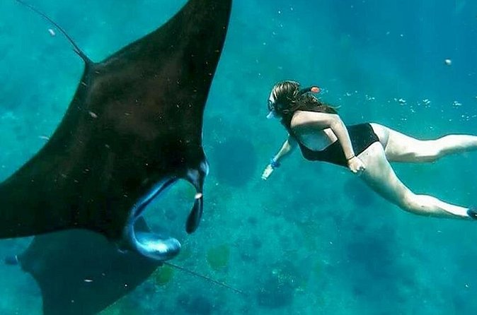 Private All Inclusive Nusa Penida Snorkeling and Tour - What the private vehicle changes