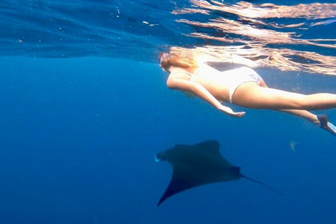 Private All Inclusive Nusa Penida Snorkeling and Tour - The 6:00 am start at Sanur Harbour