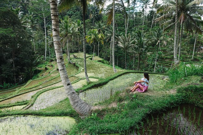 Private Bali Car Charter with Driver up to 6 People - How to plan the 10 hours without wasting them