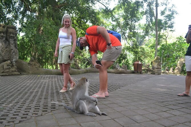 Private Bali Customized Tours - Tirta Empul and Lempuyang Temple