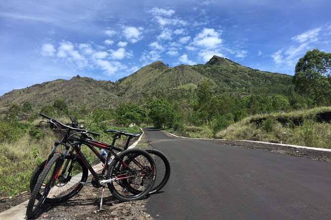 Private Bali Day Tour - Tegalalang - Kintamani and Temple Tour - Lunch with a view, paid separately