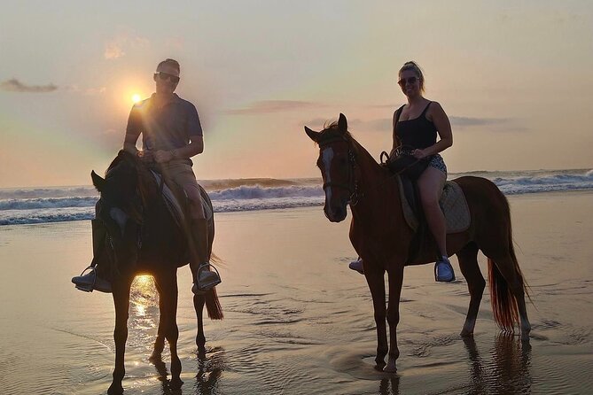 Private Bali Horse riding at saba beach - Meeting the horses and guide