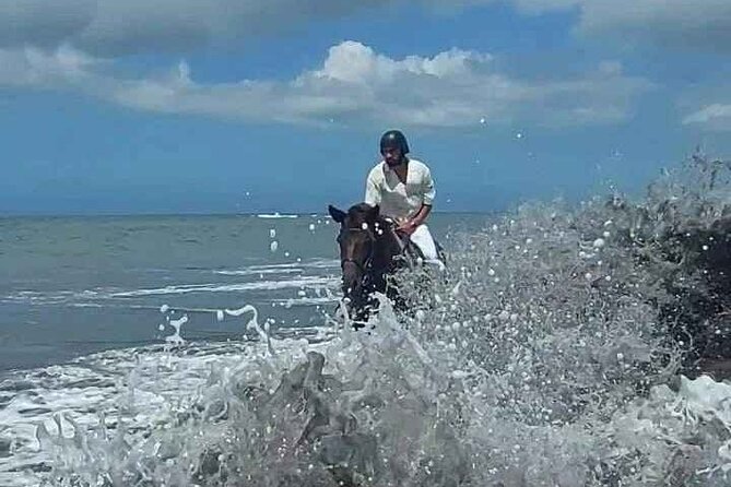Private Bali Horse riding at saba beach - The horses deserve your close attention