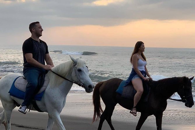 Private Bali Horse Riding In Seminyak Beach - Horse welfare and safety: read this part carefully