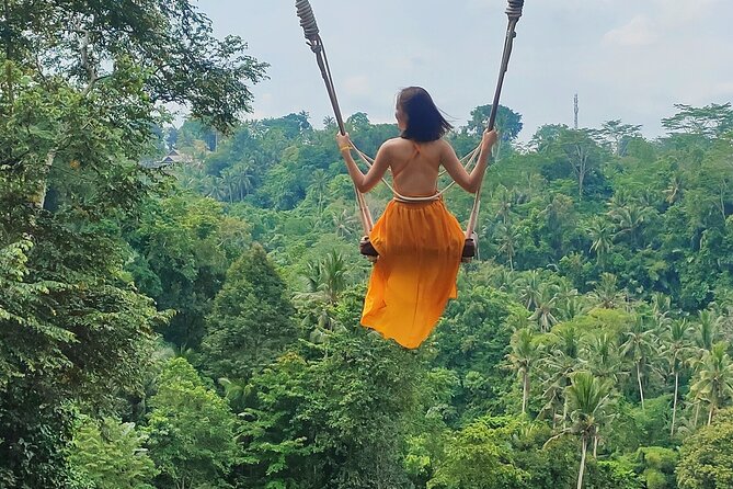 Private Bali Tour with Lisensed Bali Driver - Tegenungan Waterfall and the photo stop