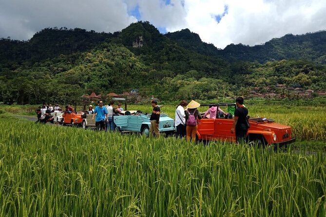 Private Borobudur Village Trip By Volkswagen Safari - Nglipoh pottery village and the value of making something