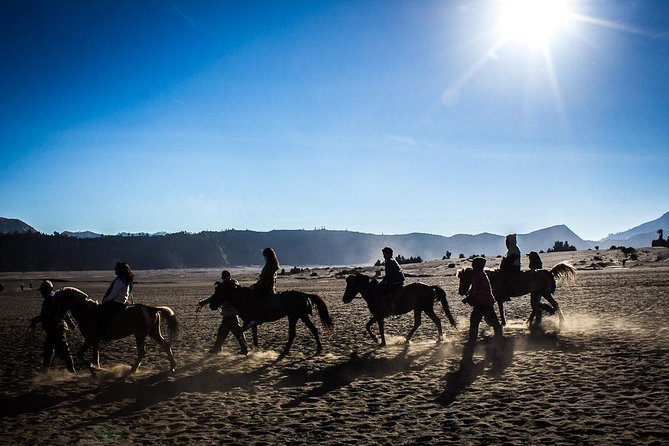 Private Bromo Sunrise Tour (All included) - What the guide adds to the morning