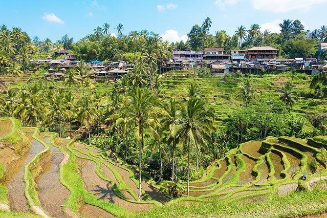 Private Car Charter - Explore Best of Bali - Ubud on foot: Campuhan Ridge, Saraswati, and the palace