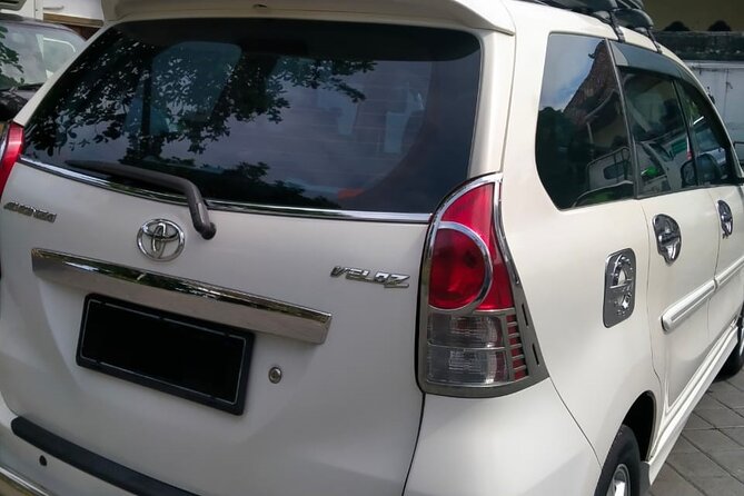 Private Car Charter: Hire Car with English Speaking Driver - A private Bali day built around your priorities