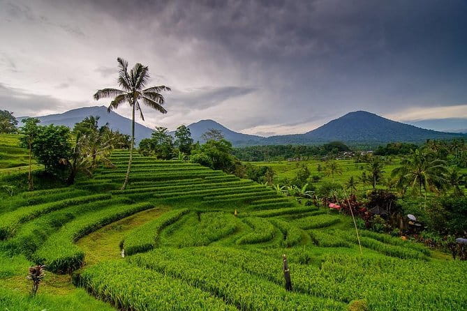 Private Chartered Car to Bali Temples With Besakih Temple - Besakih Temple on the slope of Mount Agung