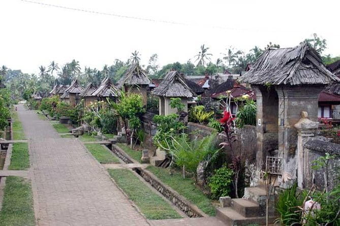 Private Chartered Car to Bali Temples With Besakih Temple - What your driver adds to the day