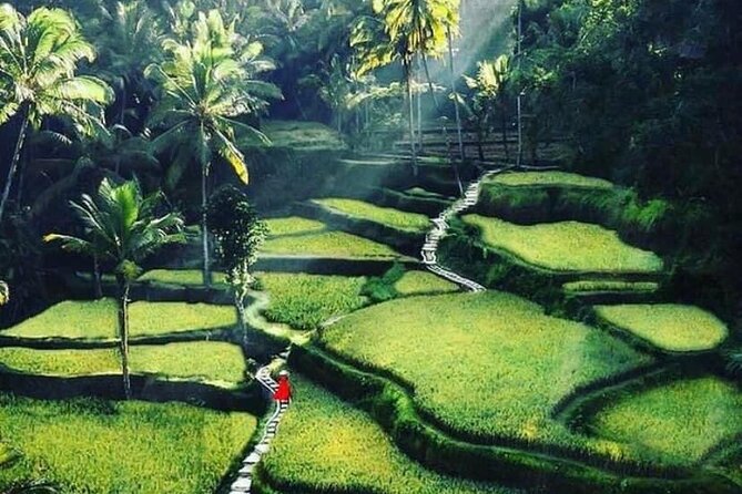 Private Customized Tour with Local Guide - What the $52 price really covers