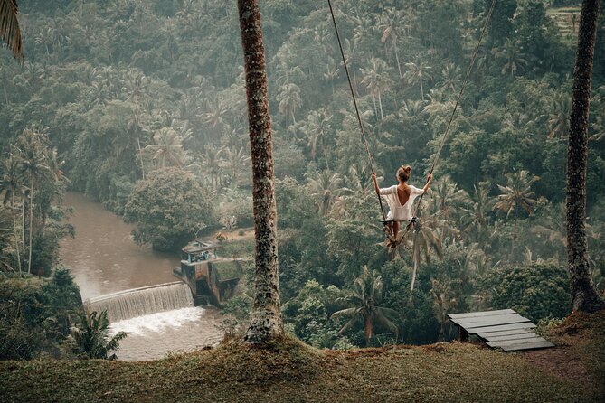Private Customized Trip to Ubud - Tegenungan Waterfall: a quick splash and photo stop