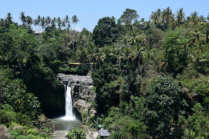 Private Customized Trip to Ubud - Aloha Ubud Swing: the costly photo stop